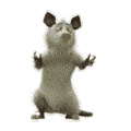 Штучка